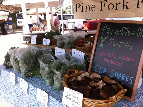 Pine Fork Farm tent at the Carytown Farmers Market. 