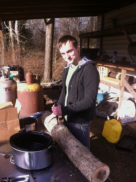 Gus inoculating logs with shiitake mushroom spawn. 